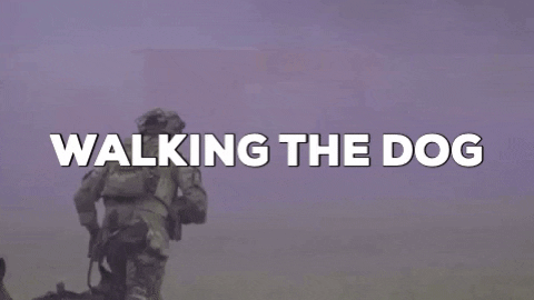 Dog Walking GIF by U.S. Army