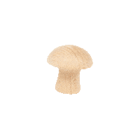Mushroom Paddenstoel Sticker by reigerenderaaf
