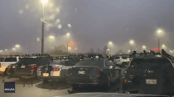 Texas Parking Lot Turns Hitchcockian as Birds Swarm