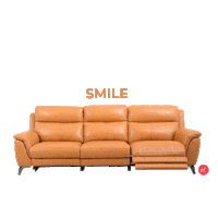 Smile Sticker by HomesToLife