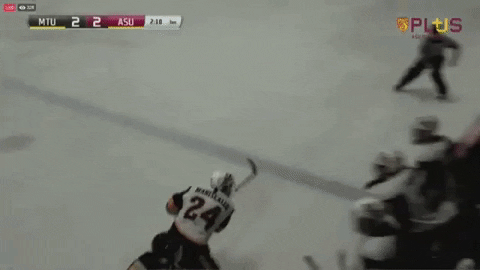 jordanfalkner giphygifmaker GIF