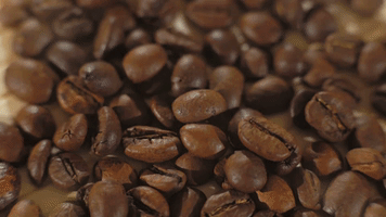 Berk's Beans Gourmet Coffee