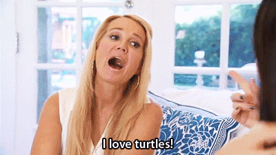 real housewives of beverly hills turtles GIF