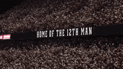 Texas Am Football GIF by Texas A&M University