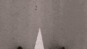 NordicWire dead boring durmiendo nordicwire GIF