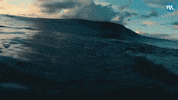 Elasmocean elasmocean elasmoceanorg GIF