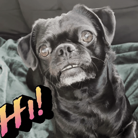 Say Hi Smile GIF
