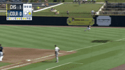 slide sliding GIF by Columbia Fireflies