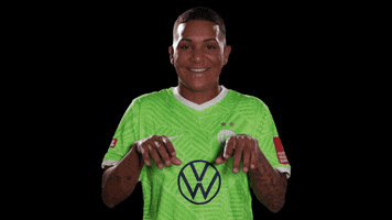 Open Arms Reaction GIF by VfL Wolfsburg