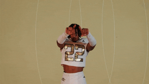 Georgia Tech Football Sport GIF by Georgia Tech Yellow Jackets