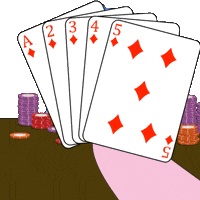 Poker Face Penguin GIF by Pudgy Penguins