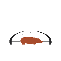latocineta bacon porco suino latocineta Sticker