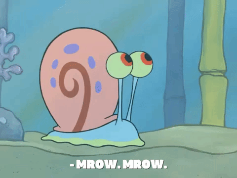 season 7 one coarse meal GIF by SpongeBob SquarePants