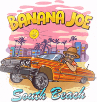 bananajoetours miami everglades banana joe tours GIF