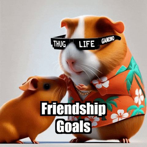 Guinea Pig Friendship Goals GIF by Guinea Gambino