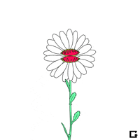 fukushima GIF by gifnews