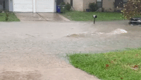 Floodwater Streams Through Dallas Suburb Streets
