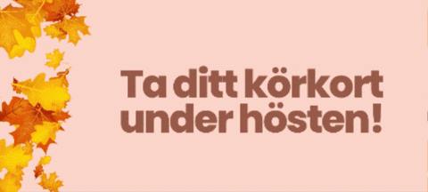 GIF by Körkortsboken