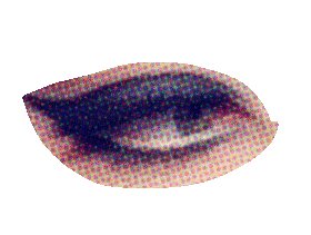 sticker eye by Sculpture