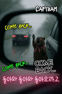 Sad Car GIF