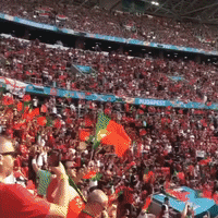 Over 60,000 Fans Pack Budapest Stadium for Hungary's Euro 2020 Opener