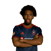 Chicago Fire Wow Sticker by Chicago Fire Football Club