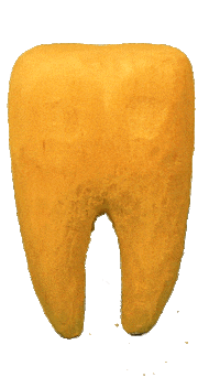 nonowe teeth wood nono nonowe Sticker