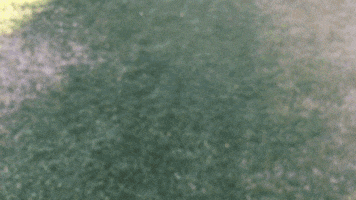 threddy thanks threddy GIF