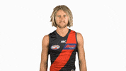 essendonfc bombers dons essendon essendon fc GIF