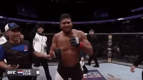 ufc GIF