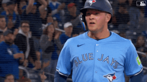 High Five Blue Jays GIF by Toronto Blue Jays
