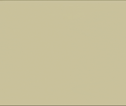 Meowl GIF