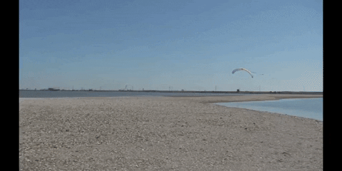 Education Biology GIF by DIIMSA Stock
