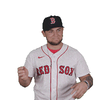 Red Sox Mlb Sticker by Boston Red Sox