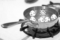 pokemon GIF