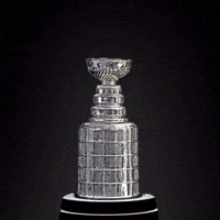 Stanley Cup Winner 2024 - The Florida Panthers
