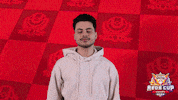 Thumbs Up Good Job GIF by Pokémon