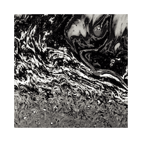 3D Moving Sticker by Element Talks