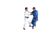Judo Mtc Sticker by Minas Tênis Clube