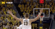 March Madness GIF by Michigan Athletics