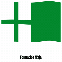 Bandera Alcántara GIF by Formación Ninja