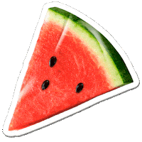 Summertime Ball Summer Sticker by Global