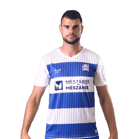 Football Soccer Sticker by NK Osijek