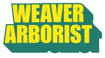WeaverArborist new post tree trees wood Sticker