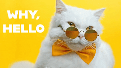 giphy.gif