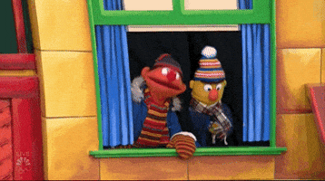 Sesame Street GIF by The 97th Macy’s Thanksgiving Day Parade