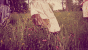 Sofia Coppola Movie GIF