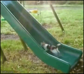 sliding GIF