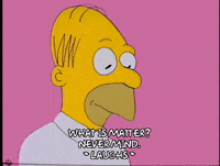 homer simpson episode 10 GIF