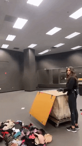 yj_jane giphyupload GIF